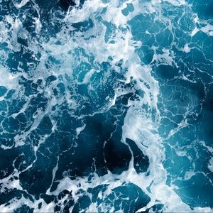 Meet your Posher, Shayna